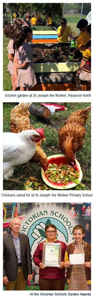 Image 1 - Kitchen garden at St Joseph the Worker, Resevoir North. Image 2 - Chickens cared for at St Joseph the Worker Primary School.